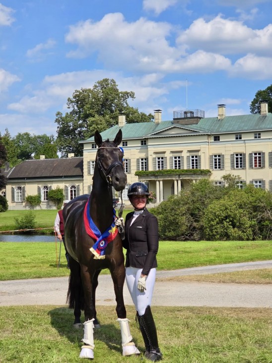 Black Brianna siegt im Finale des Reitpferde-Championats auf dem Oldenburger Landesturnier in Rastede